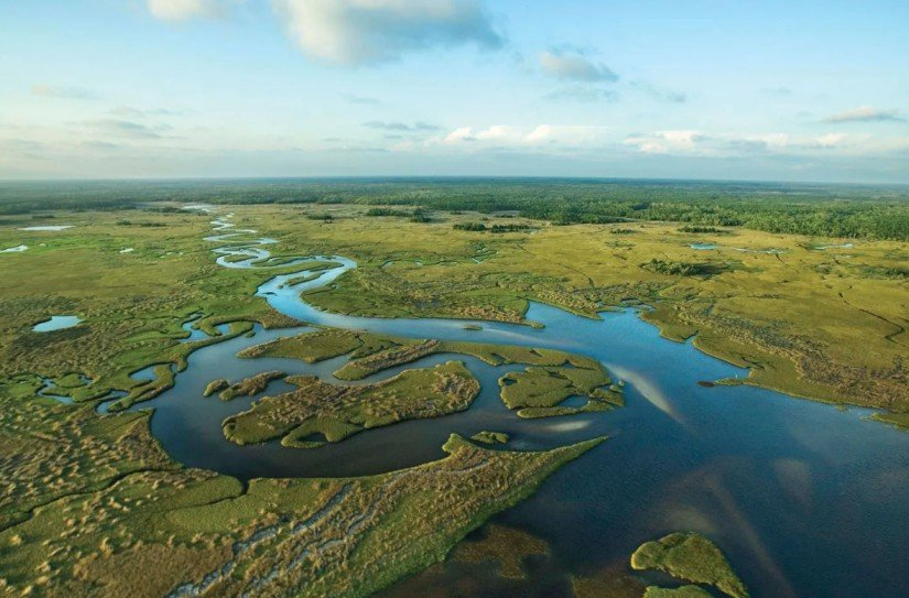 Everglades National Park: Where Water, Wilderness, and Wildlife Meet
